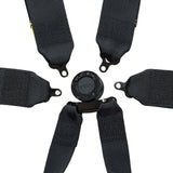 ZAMP FIA 8853-2016 3"/2" 6-point Pull Up(In) Seat Harness