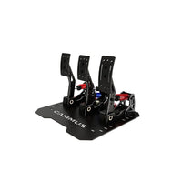 CAMMUS LC100 pedals